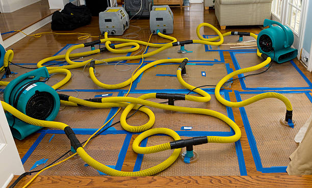 Professional Crawl Space Water Removal technician working in Mapleton, IA